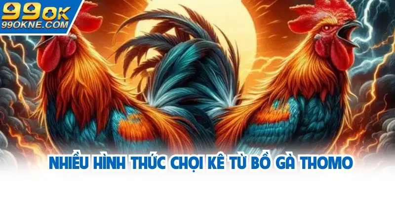 Nhiều hình thức chọi kê từ bồ gà Thomo