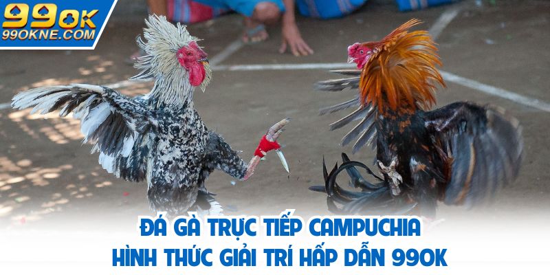 đá gà trực tiếp Campuchia
