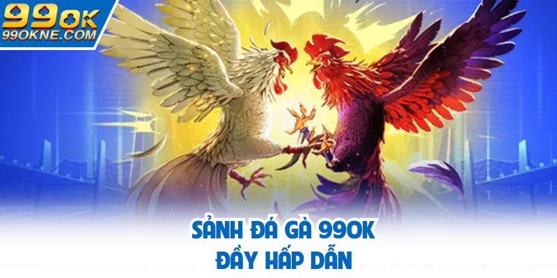 Sảnh đá gà 99OK đầy hấp dẫn