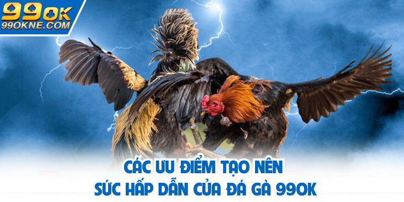 Các ưu điểm tạo nên sức hấp dẫn của đá gà 99OK